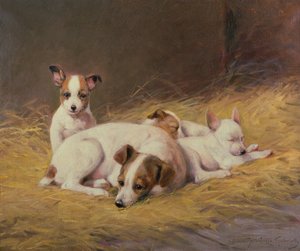 Een terriër met drie puppy